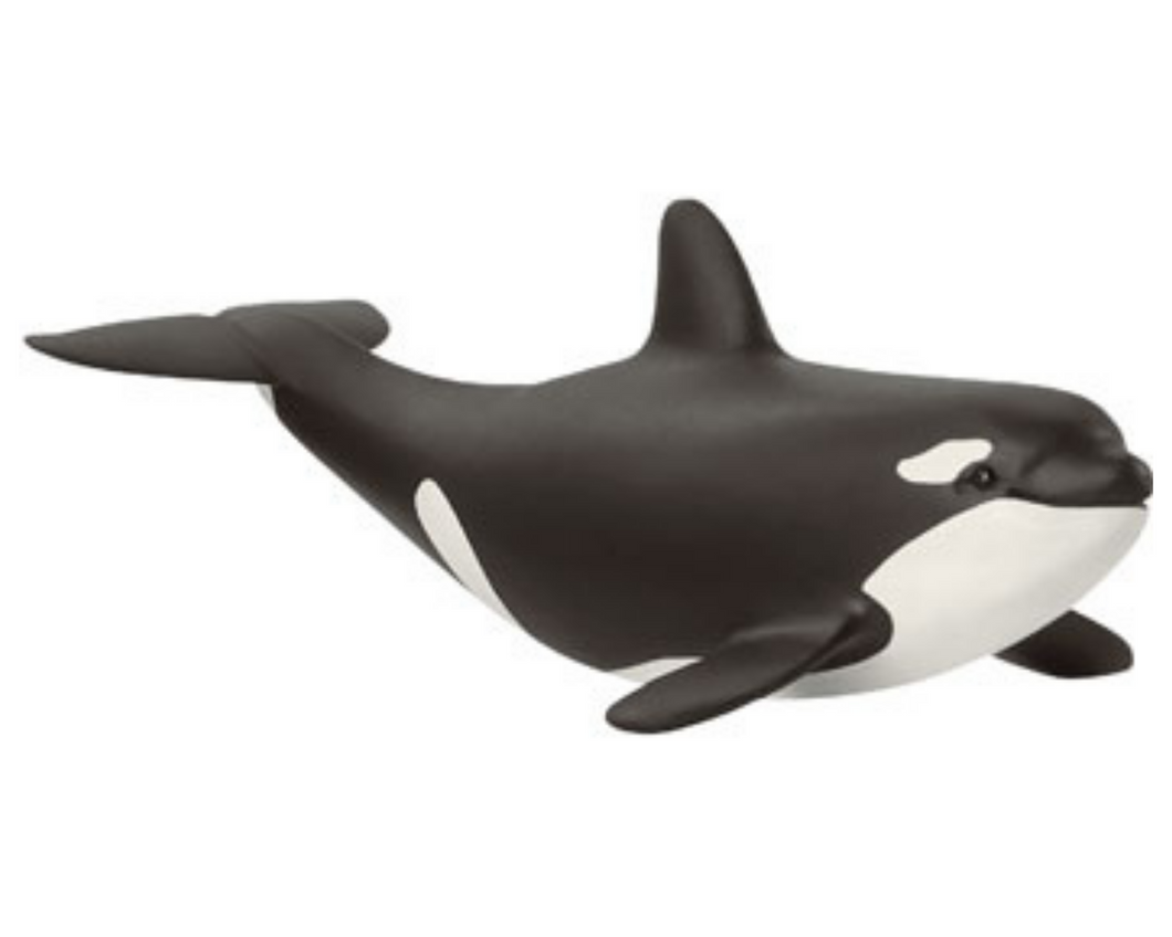 Schleich animal orca