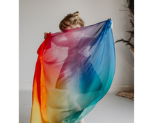 Load image into Gallery viewer, Play Silkies Rainbow Silk
